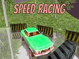 Speed Racing